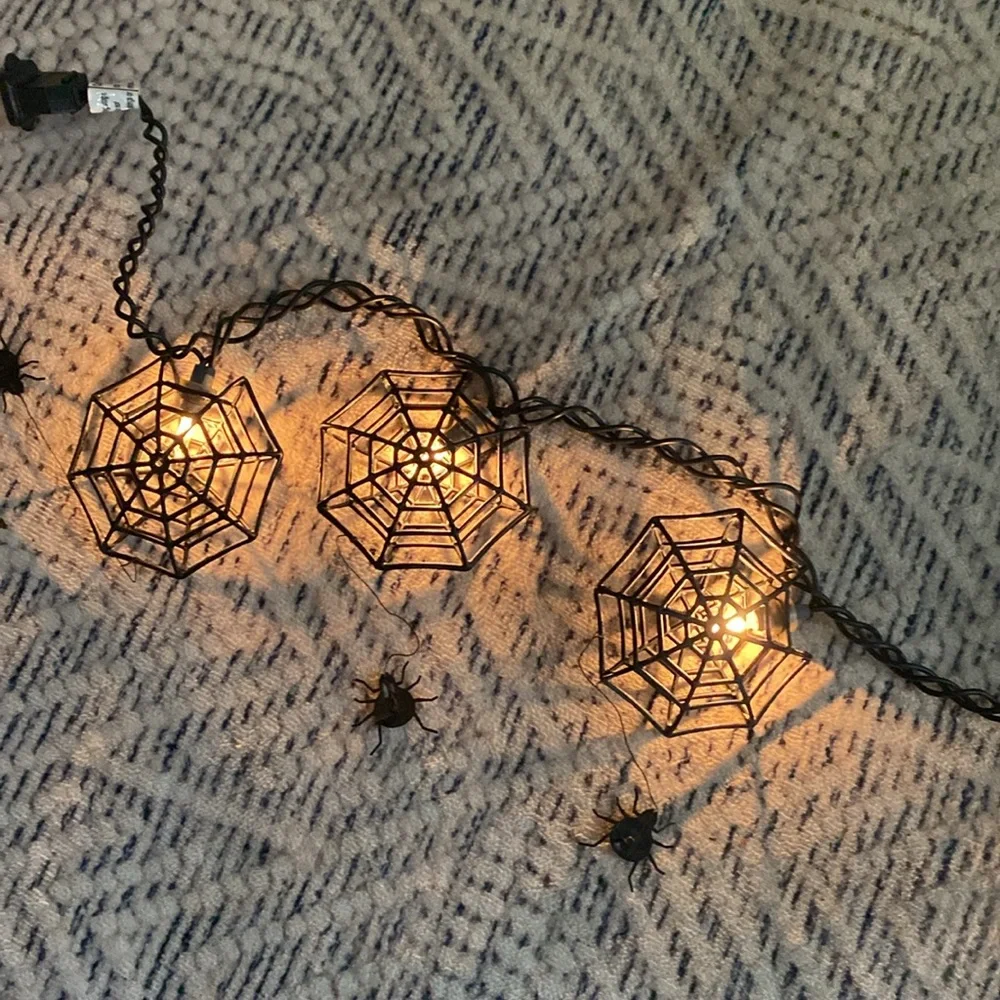 🕸️Spider Web String of Lights
